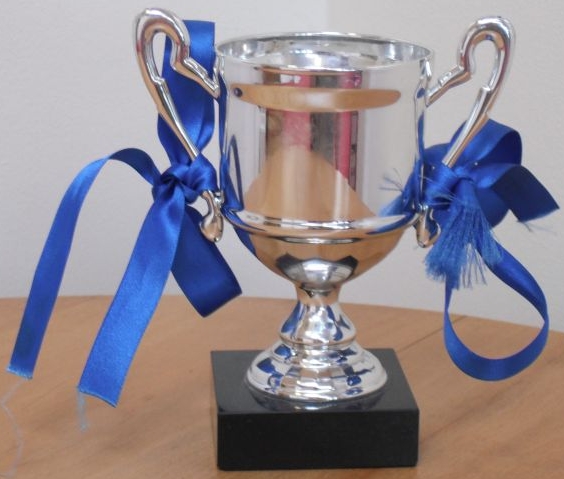 Team winners cup Blue