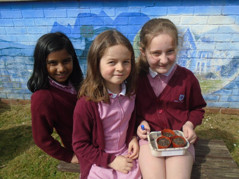 Year 3 Planting seeds