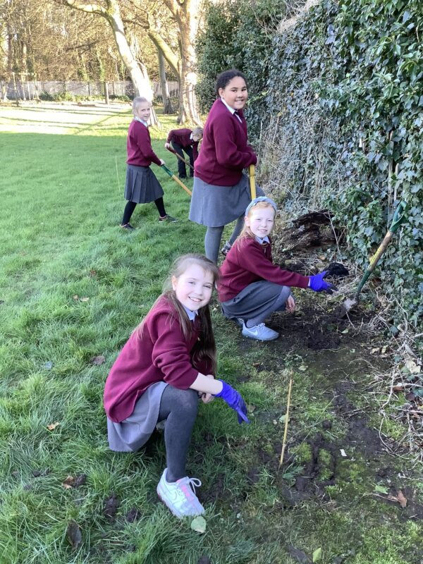 Tree planting